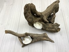 Driftwood Natural Freshwater For Aquarium Fairy House Terrarium With Shells