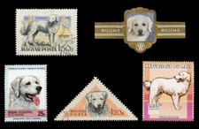 HUNGARIAN KUVASZ DOG BREED POSTAGE STAMP INTERNATIONAL COLLECTION X 4 + 1 Band