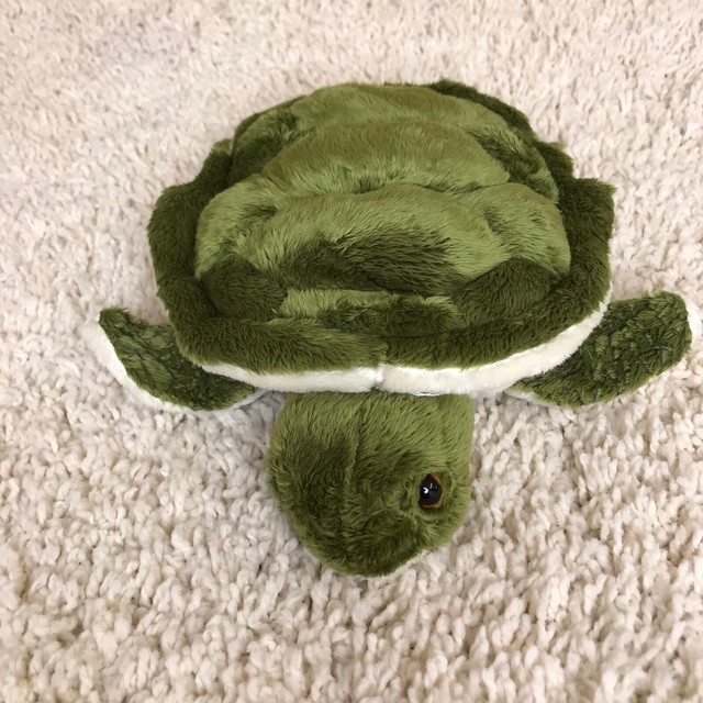 small stuffed turtle