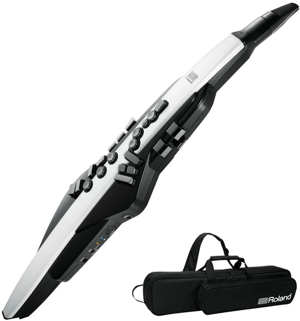 Roland Aerophone AE-20 Digital Wind Instrument for sale Roland Aerophone AE-20 Digital Wind Instrument for sale