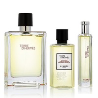 Hermès Terre D'hermèS EDT 100 Ml + EDT 15 Ml + SG FüR Haut Und Haar 40 Ml (Man)