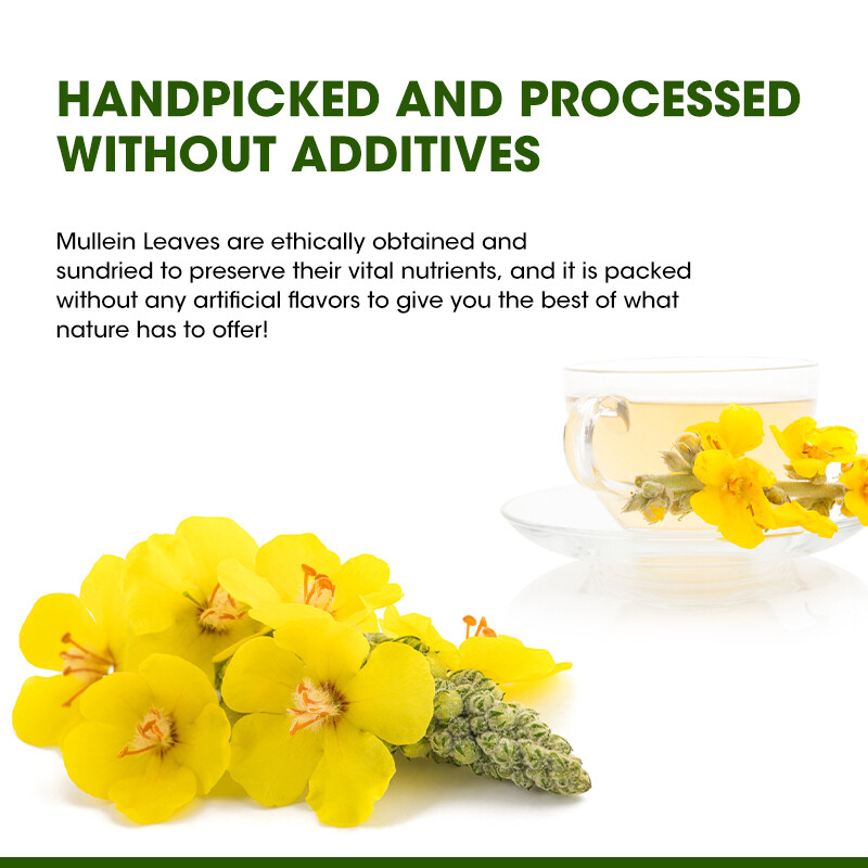 Mullein Tea Bags For Lung Cleanse Herbal Leaf of Flowers Detox Enhance Immune