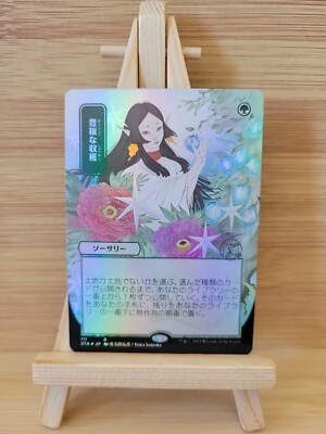 MTG 全知　美品 ミントモール / MINT GAMES MTG(東日本橋) / 【WOT】【ENG