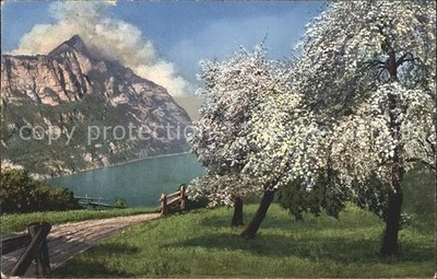 Walensee Fruehlings Idylle