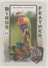 2021 Topps Allen & Ginter's Birds of a Feather Rainbow Lorikeet #BOF-10 y0q