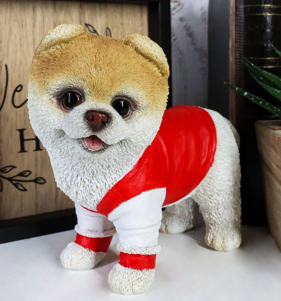 The Pomeranian Dog Boo Death Of Boo Broken Heart Famous Dog Boo