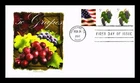 DR JIM STAMPS US COVER GRAPES 5C FIRST DAY ISSUE COMBO PANDA CACHET