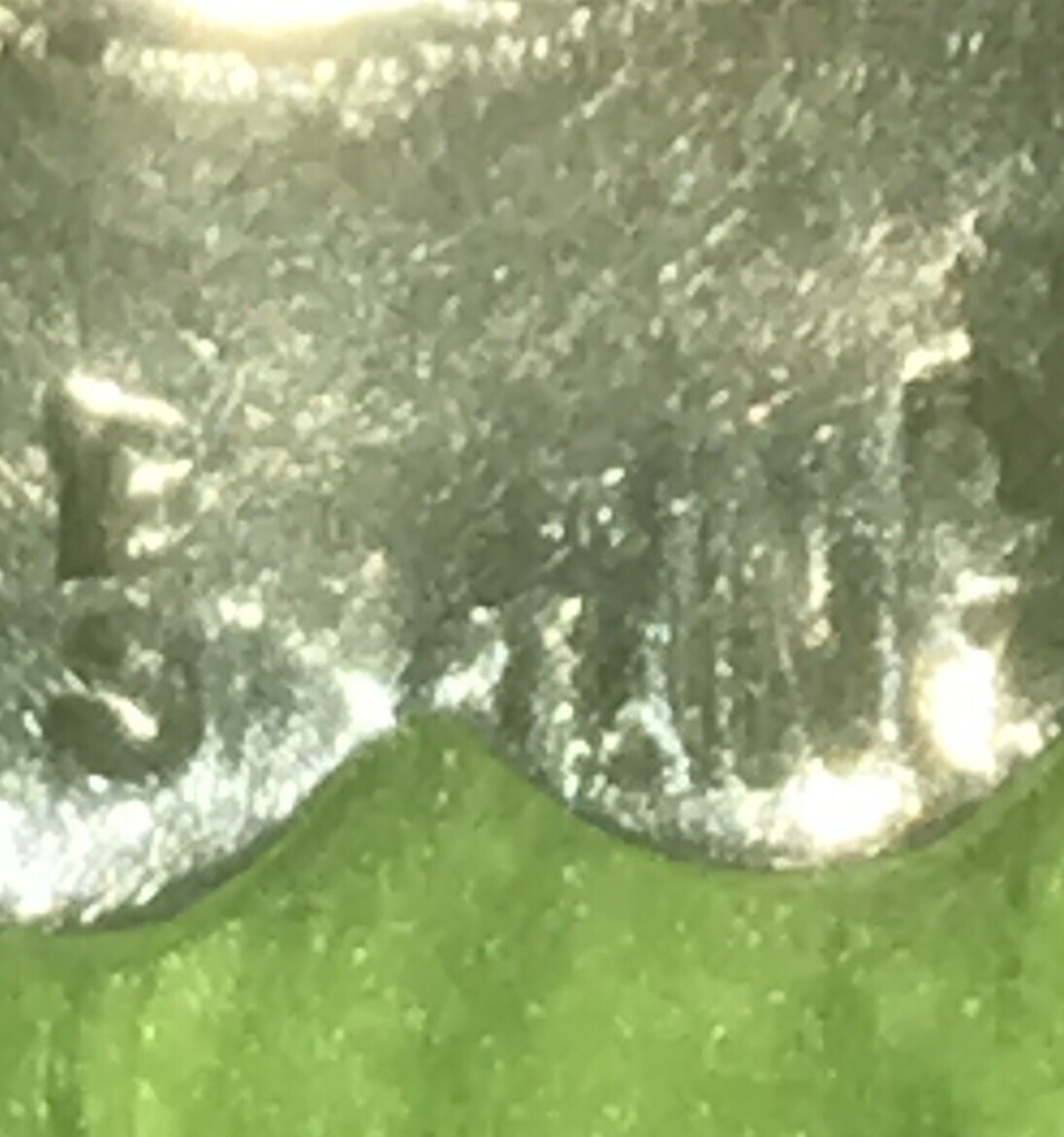 Picture 12 of 18