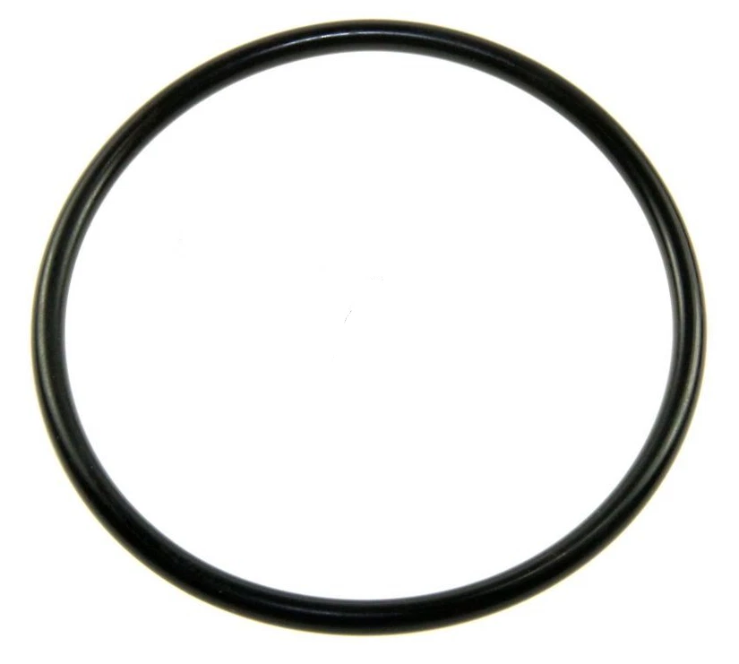 GAGGIA Guarnizione Caldaia per Macchina da Caffè BABY CLASSIC EVOLUTION CAREZZA