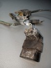 Picture 6 of 13