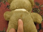 Picture 5 of 6