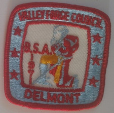 BSA 1971 DELMONT VALLEY FORGE COUNCIL