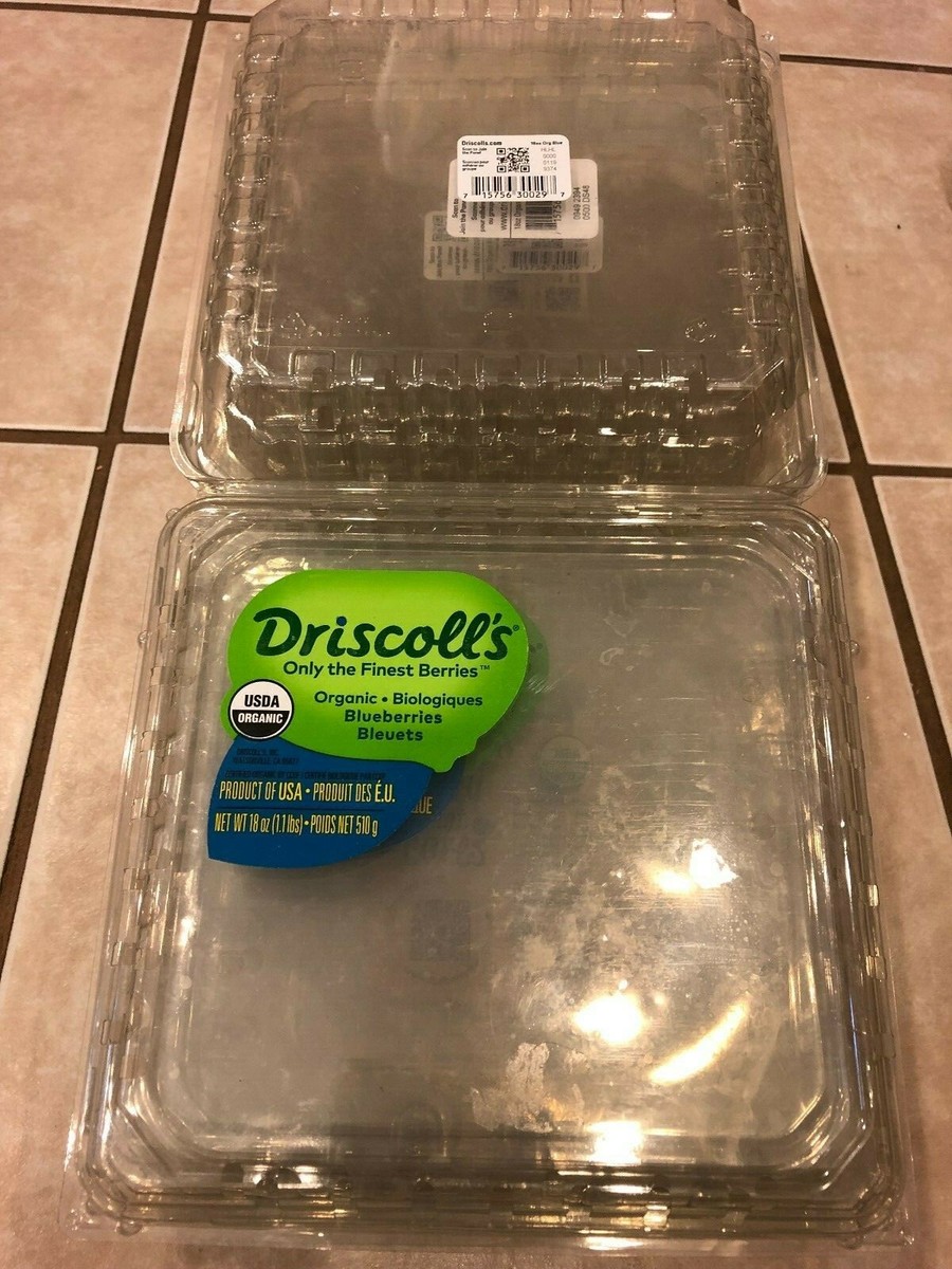 Lot 10~18oz~Square~Berry Blueberry Storage Carton Crate