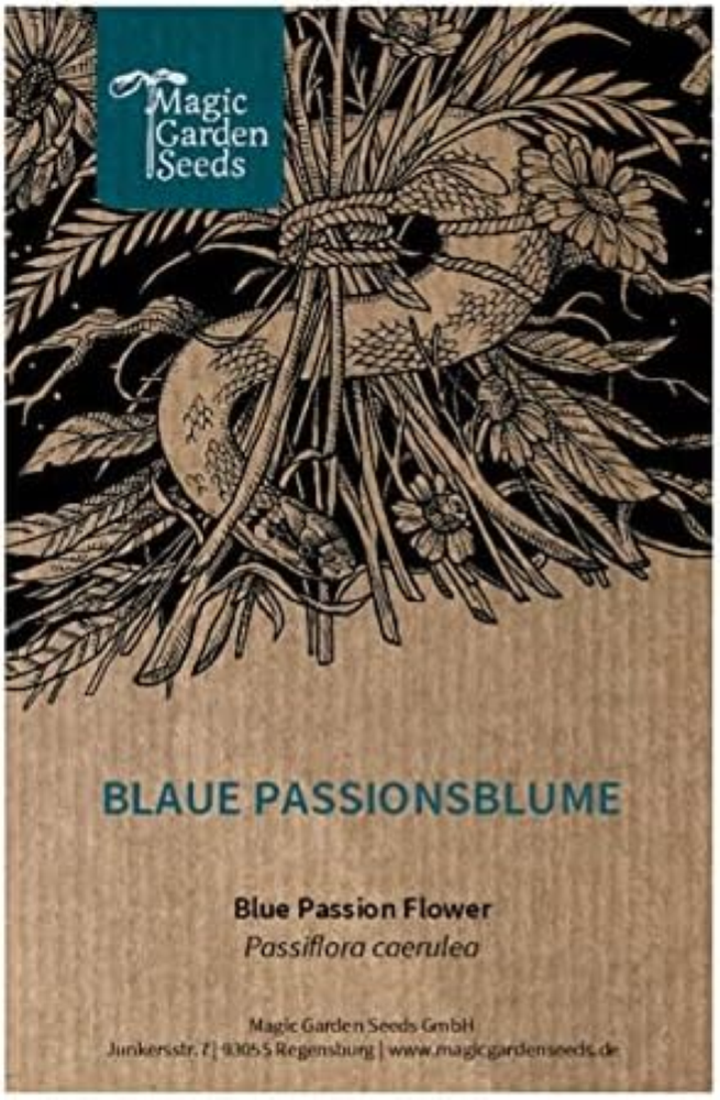Passiflora blu (Passiflora caerulea) - circa 10 semi