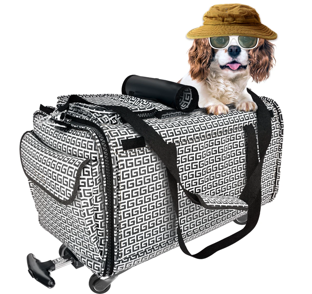 Rolling pet carrier for large clearance dogs