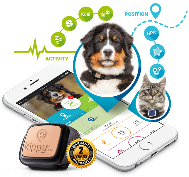 bluetooth pet tracker