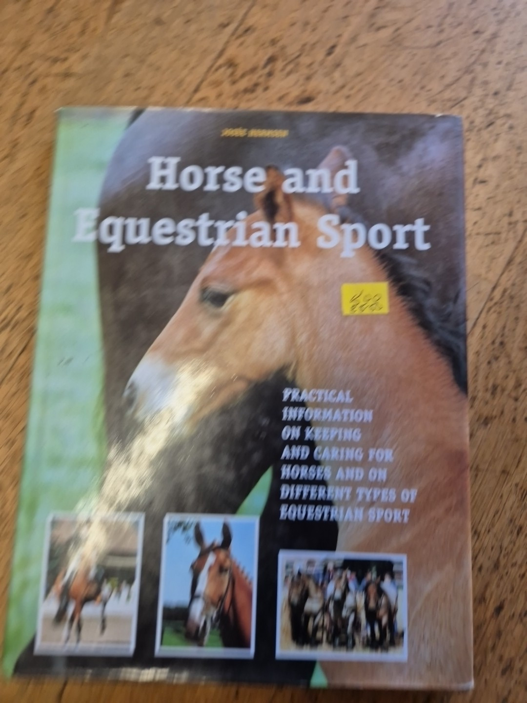 Horse & Equestrian Sport Josee Hermsen dressage show jumping driving western