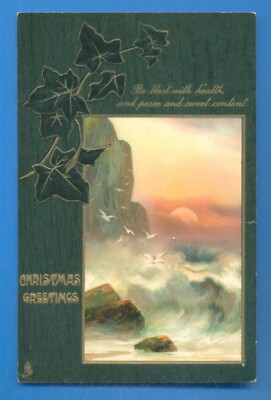 CHRISTMAS GREETINGS.B BLEST WITH HEALTH.EMBOSSED TUCKS CHRISTMAS POSTCARD