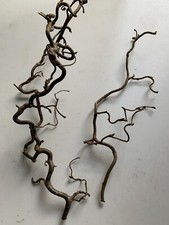 CORKSCREW HAZEL BRANCHES 60 Cm  X3 Floristry Easter Decor
