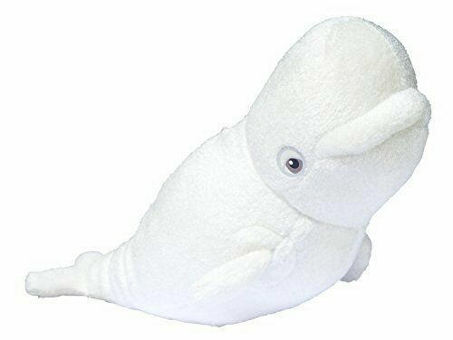 beluga plush