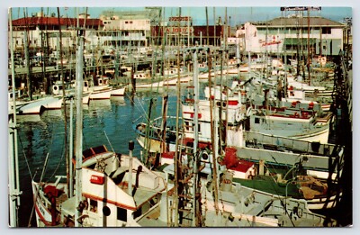 Postcard Fishing Fleet Large Commercial Fishing San Francisco CA Unposted