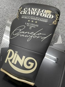 Canelo Boxing Gloves | eBay