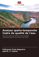 Pollyanna Faria Nogueira (U. A.) | Analyse Spatio-Temporelle Cadre De Qualité...