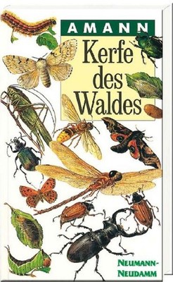 Kerfe des Waldes Gottfried Amann