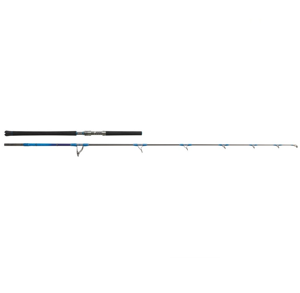 Hearty Rise Monster Game Prestige 245m 50-160g Jigging Popper Salzwasser Spinnr 127290₽