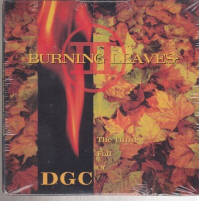 BURNING LEAVES DGC  CD Promo sonic youth,  nirvana , the sundays