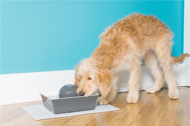 seascape pet fountain