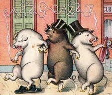 1880s Haas Remedy Anthropomorphic Smoking Drinking Pigs Hogs Lot Of 2 F189