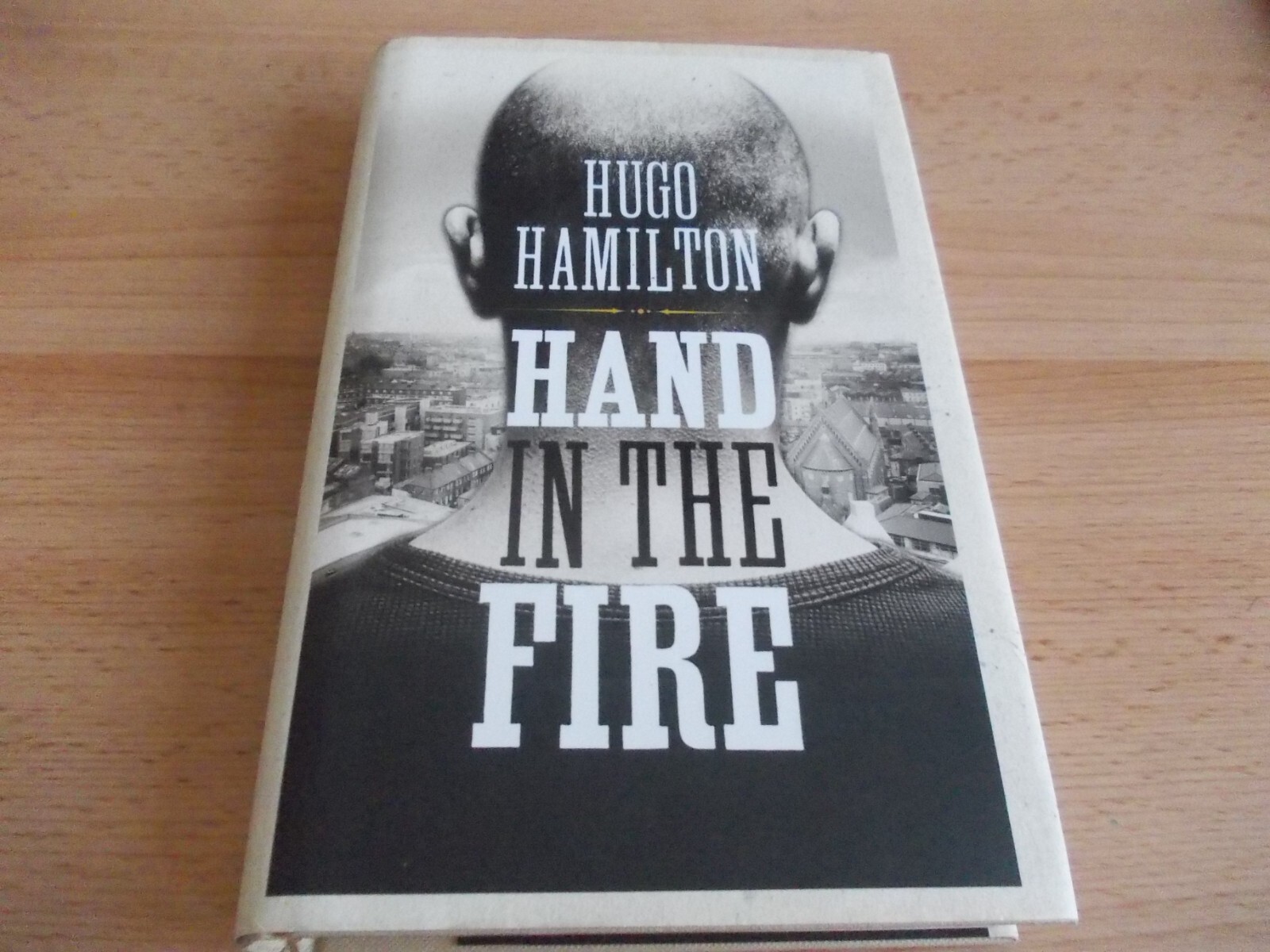 Hand in the Fire , Hugo Hamilton, FIRST EDITION,1st printing Hardback,2010