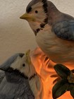 Bild 17 von 18