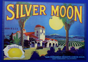 Original Vintage 1930 Silver Moon Citrus Fruit Crate Label San Fernando Heights