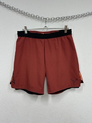 Dynafit Men s Alpine Pro Shorts Burgundy Size L