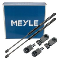 2X Meyle 7409100029 HeckklappendäMpfer DäMpfer FüR Ford Focus 2 MK2 1321021