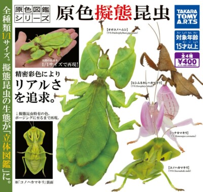 Mimicry Insect Mantis 1/1 Scale Figure Set of Takara Tomy