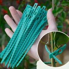 Adjustable Plastic Plant Cable Ties Reusable Self-Locking Ties Garden Plant