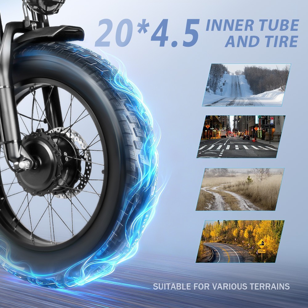 6000W Dual Motor E-Dirt Bike 60V 43AH E-Motorcycle 20*4.5" Fat tire 45MPH 124Mi