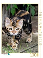 Calvendo Puzzle Suki - Kleine Leopardin | 1000 Teile Lege-GrößE 64X48Cm Foto-Puz