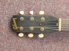 Picture 4 of 14