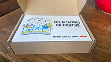Red Bull Editions Variety Pack Energy Drink 4 Can Gift Box (Blue & Coconut)