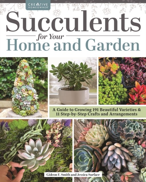 Succulents for Your Home and Garden by Gideon Smith (Paperback Book)