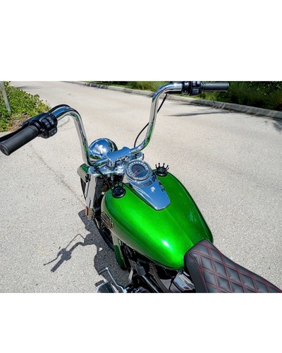 2019 Harley-Davidson Softail