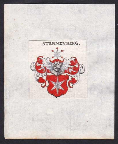 Sternenberg Sternberg Wappen coat of arms Heraldik heraldry Kupferstich 17. Jh. - 第 1/1 張圖片