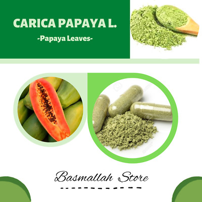 CAPSULE Papaya Leaves Paw Paw Melon-tree Mamon Carica Papaya Organic WildCrafted