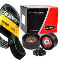 Contitech 7PK1795 Keilrippenriemen + Rolle FüR Movano Vivaro Renault Master Opel