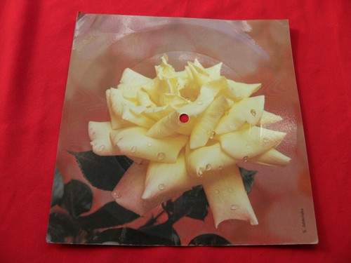 JAPAN life in tokyo RARE 1979 POLISH FLEXI Tonpress DAVID SYLVIAN