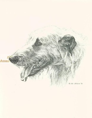 #141 IRISH WOLFHOUND portrait dog art print * Pen and ink drawing by Jan Jellins